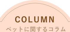 COLUMN ペットに関するコラム